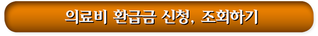 3. 의료비 환급금 신청, 조회하기