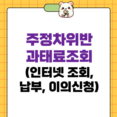 주정차위반과태료조회