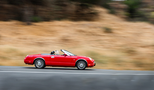 초소형 크로스오버 SUV로 주목받는 피아트 500X 성능,인테리어,기능