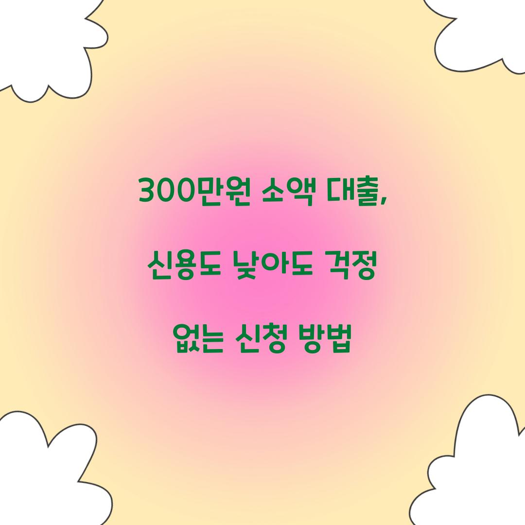 300만원 소액 대출