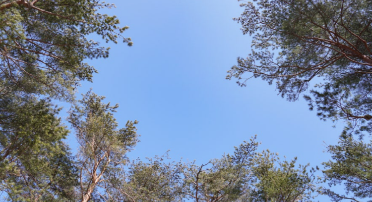 태백산 하늘전망대