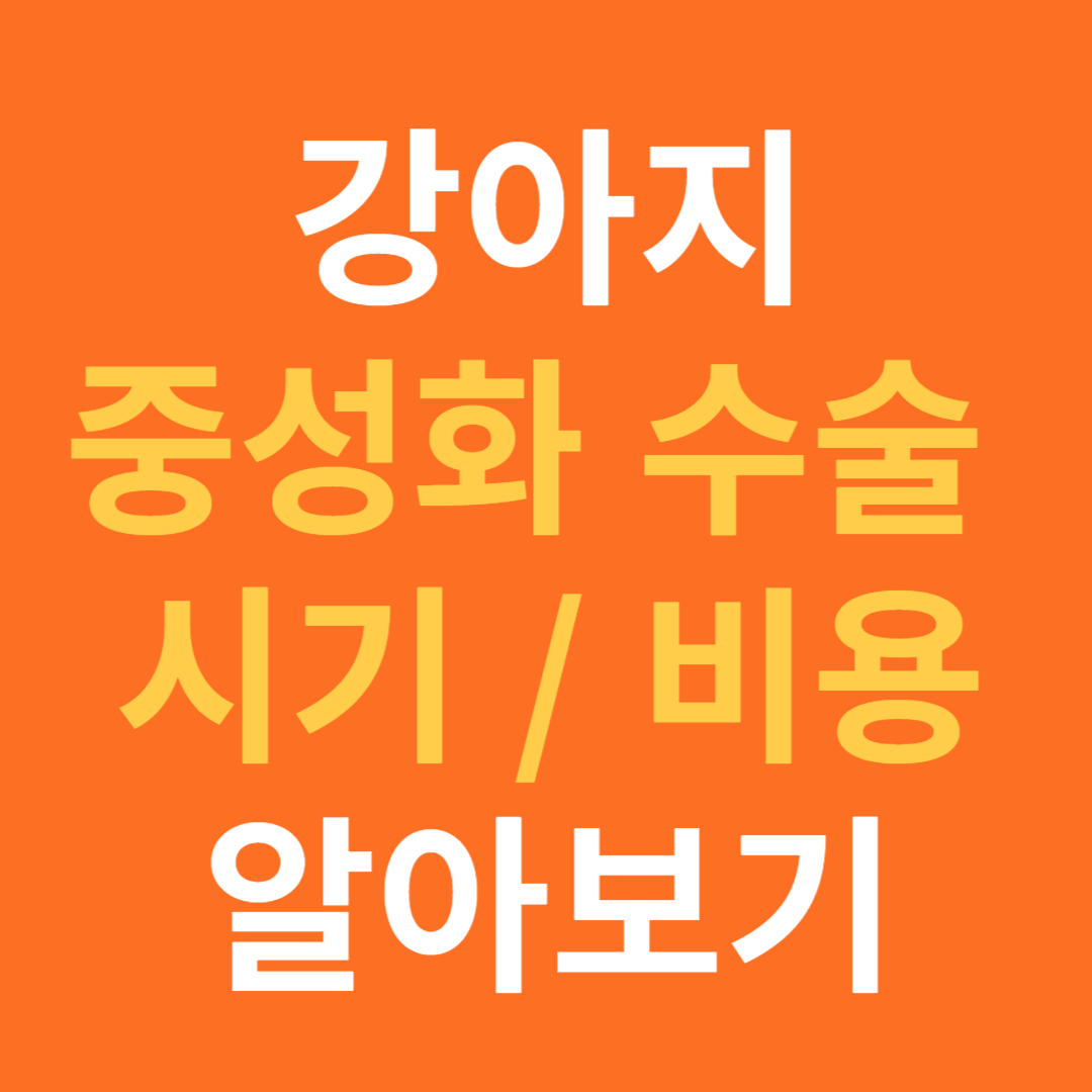 강아지 중성화수술 시기 비용