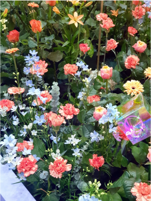 2023.고양 국제꽃박람회.총정리.가는길.입장권.일정.주차장