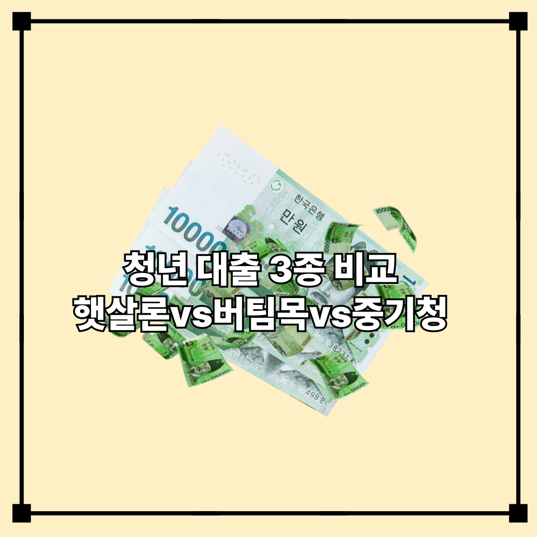 청년 대출 3종 비교 – 햇살론·버팀목·중기청 비교