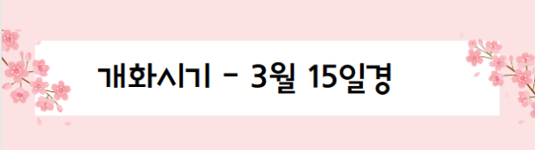 봄꽃 여행지