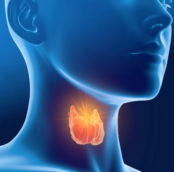 갑상선기능저하증 증상 34가지