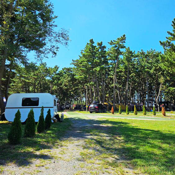 태안군 몽산포오션캠핑장 소개