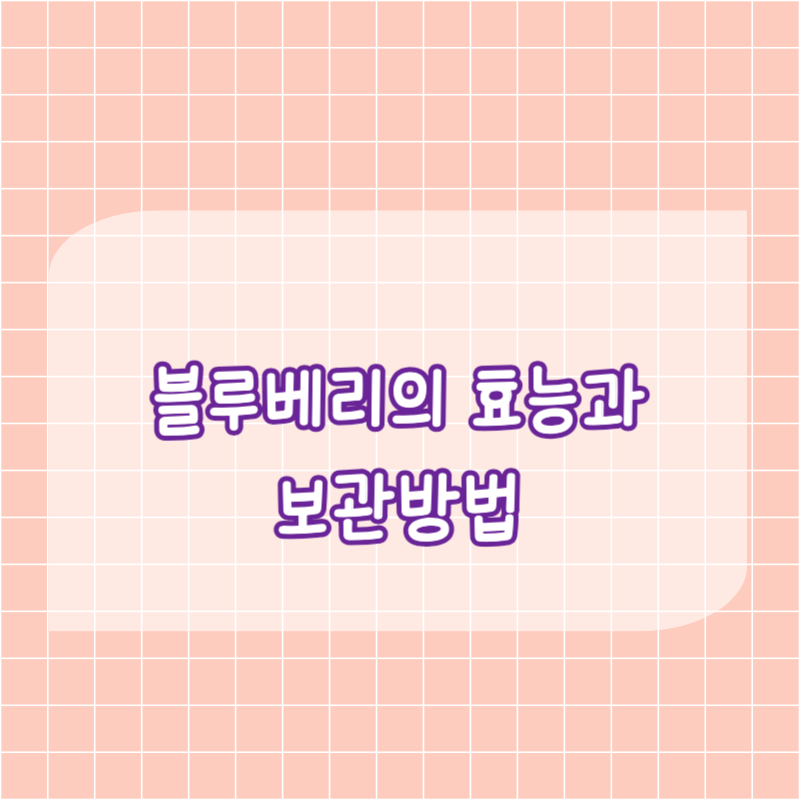 블루베리의 효능과 보관방법 글자 이미지