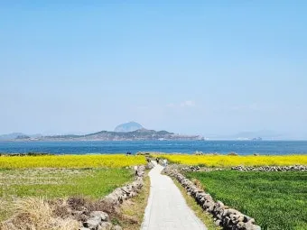 제주 가파도 가는 운진항 배 시간표 요금 예약 예매_9