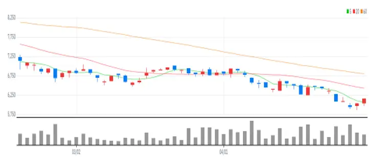 마이크로프랜드 차트