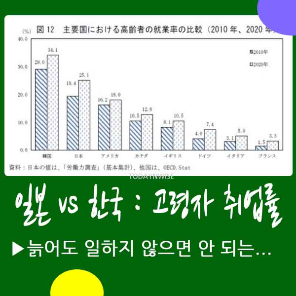 65세 이상 고령자 취업률 노인 취업 실태 - 한국이 일본보다 높다