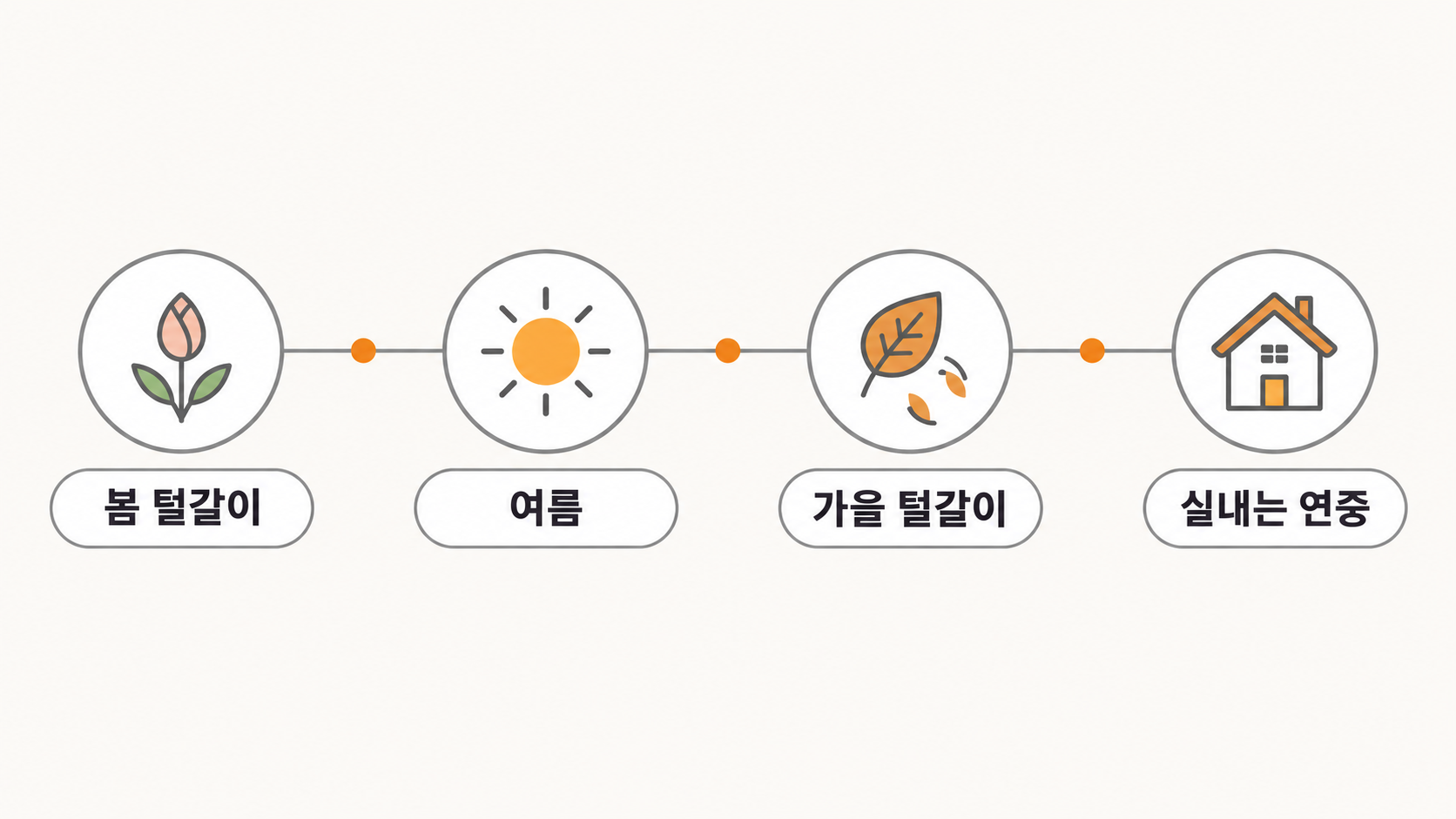 털갈이 계절 흐름 타임라인
