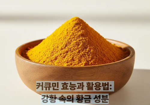 커큐민 효능과 활용법: 강황 속의 황금 성분