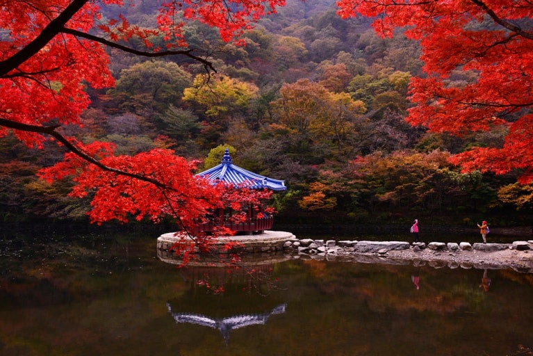 내장산