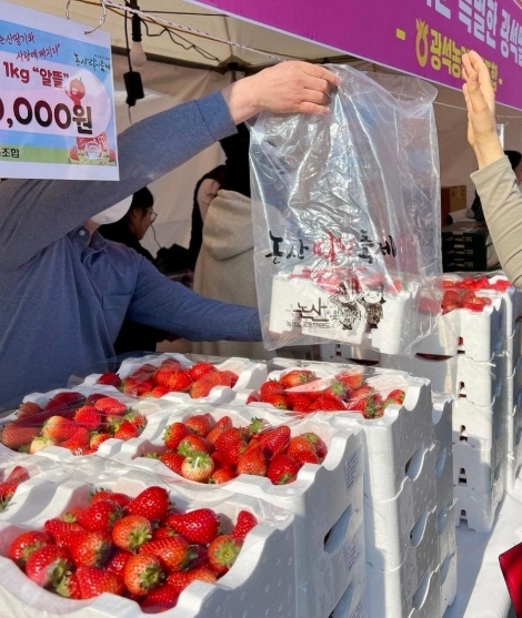 논산딸기축제 2025 출연진, 셔틀버스 시간표