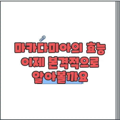 마카다미아의 효능 이제 본격적으로 알아볼까요