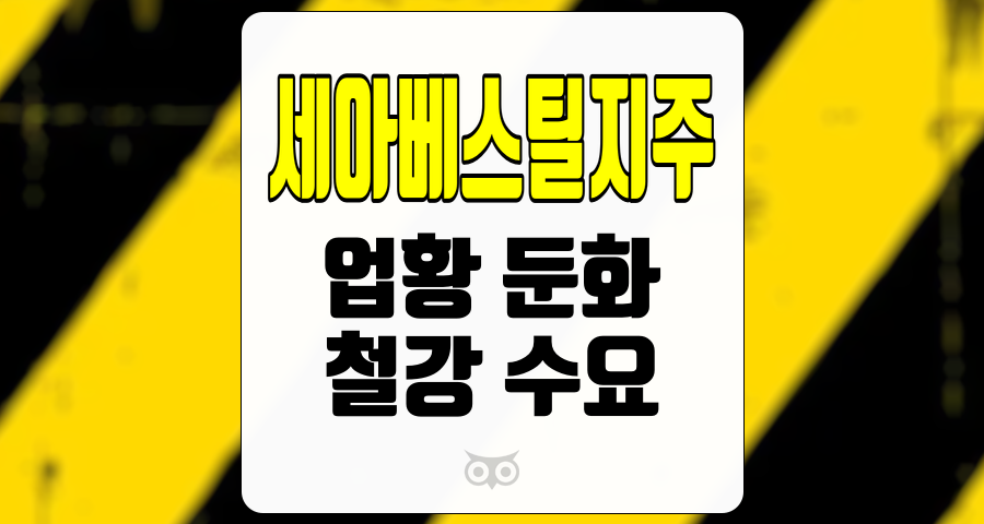 세아베스틸지주, 어려운 시장 속에서의 기회와 전략