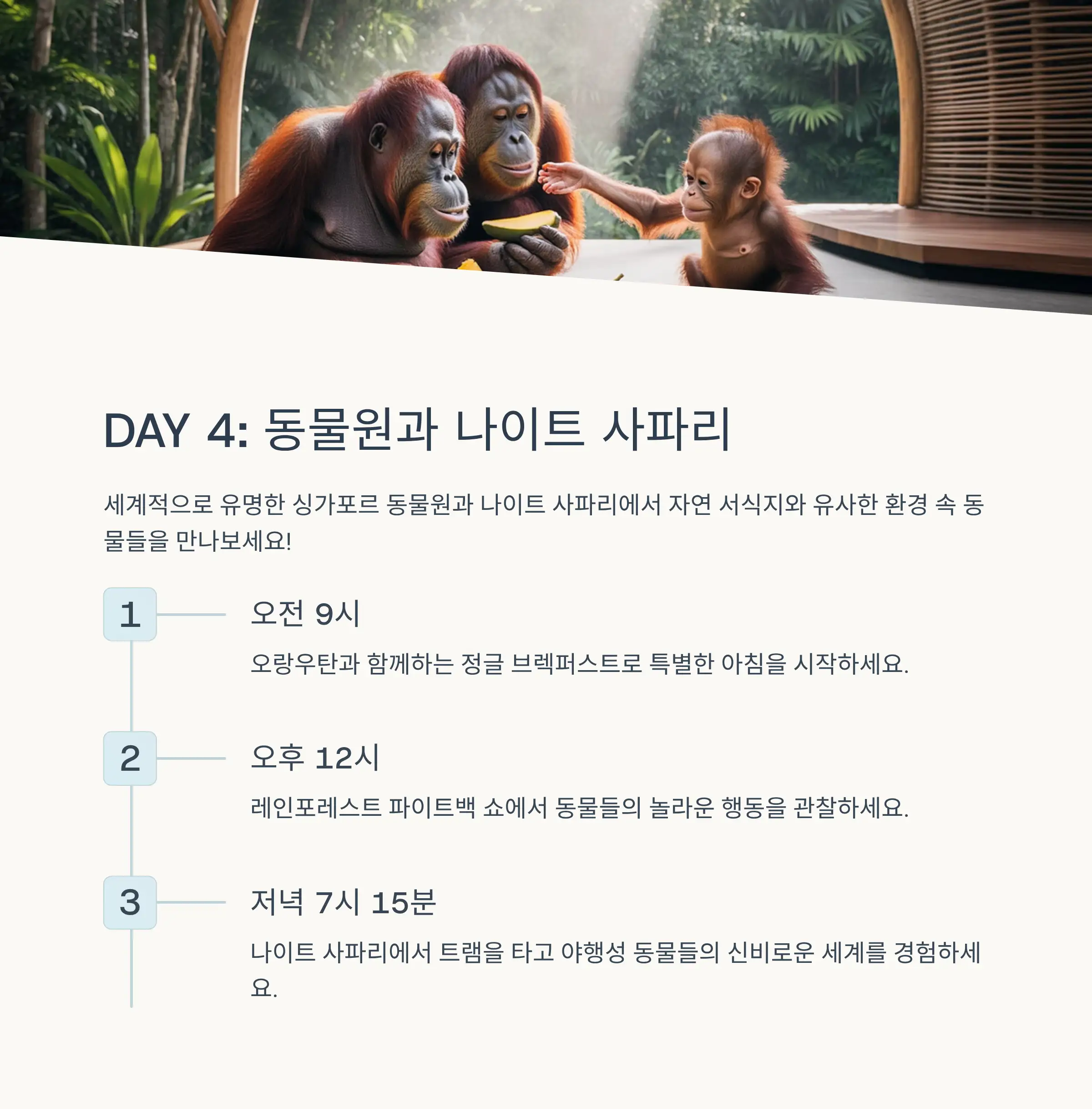🦁 Day 4: 동물원과 나이트 사파리