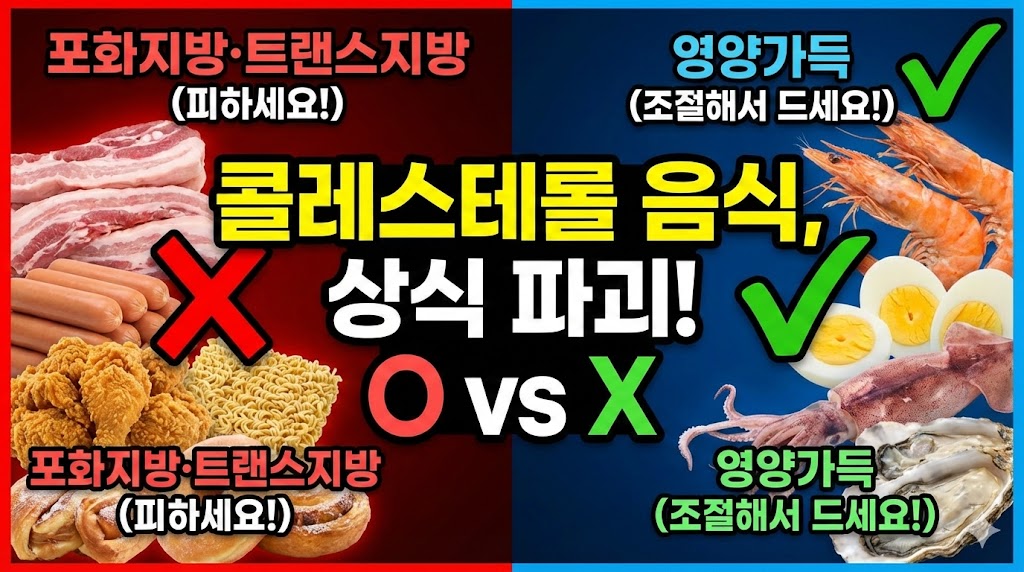 콜레스테롤 높은 음식