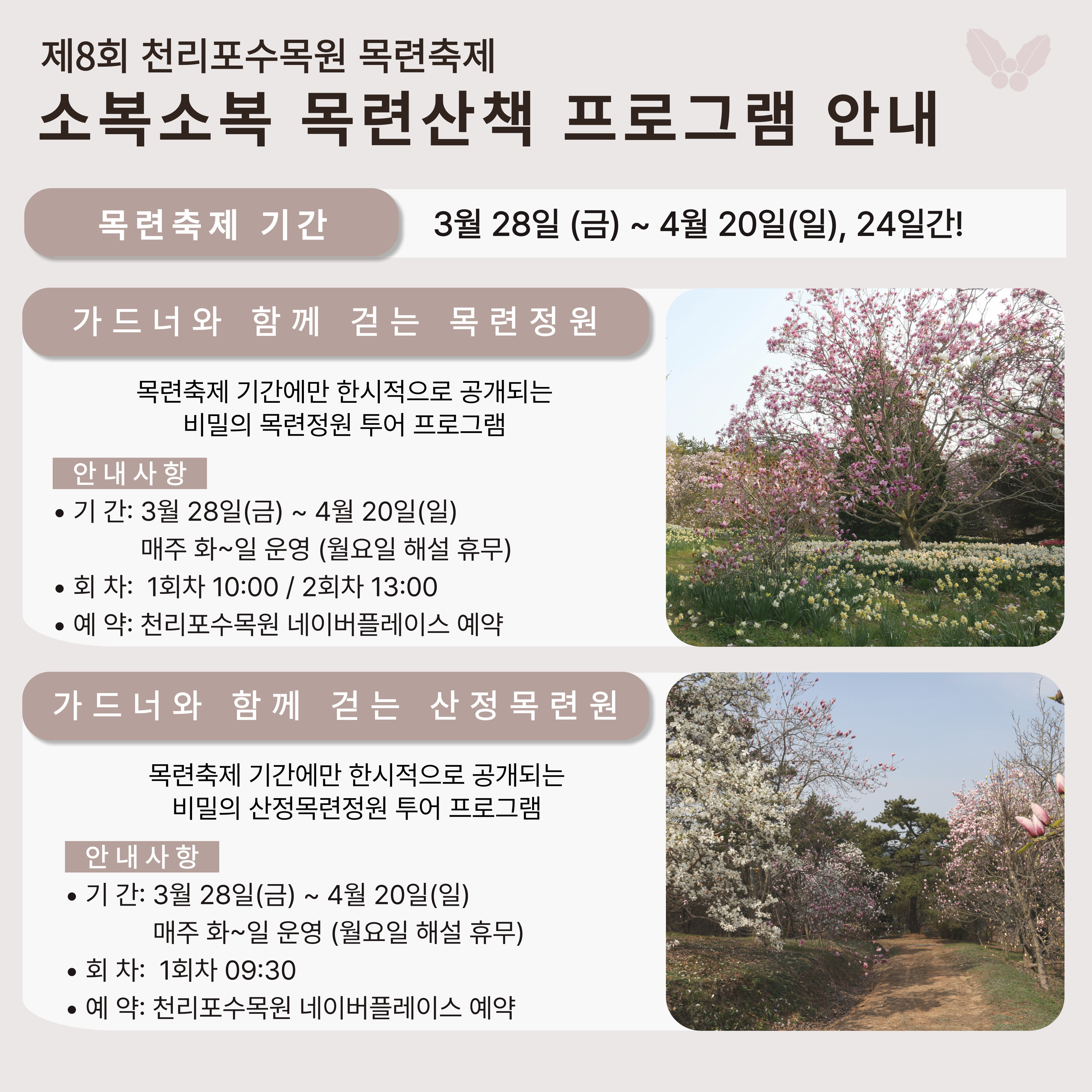 태안 천리포 수목원 목련축제 2025 주차 맛집 꿀팁 총정리