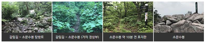 태백산 등산 3 코스