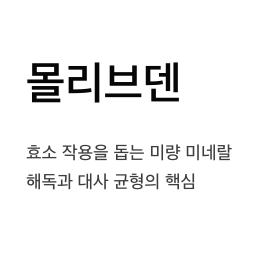 몰리브덴에 대한 상세설명