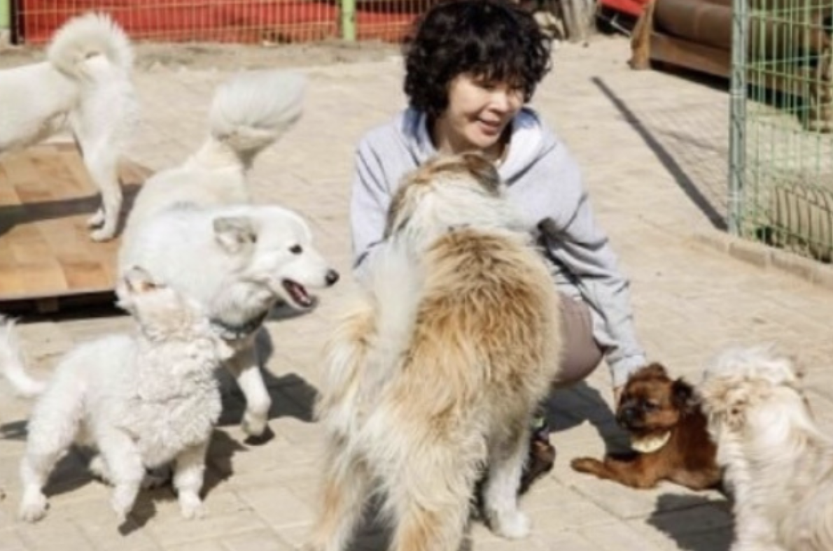 이용녀 애견인