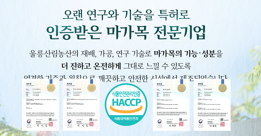 마가보감 프리미엄 가격 효능 내돈내산 후기