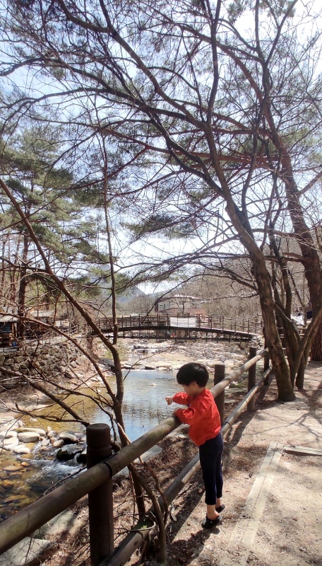 물에 빠진후 계곡으로 내려갈 생각이 없는 쿠웅이