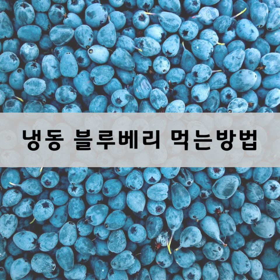 냉동-블루베리-먹는-방법