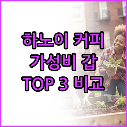 가성비 갑 하노이 커피 TOP 3! 