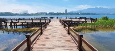 가을단풍 단풍버스 당일여행