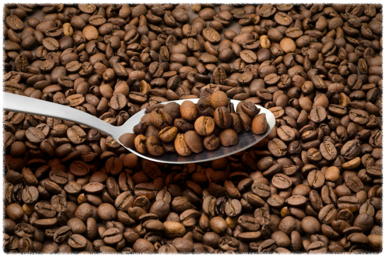 산미 있는 커피 vs 고소한 커피, 맛 차이 알고 마시자