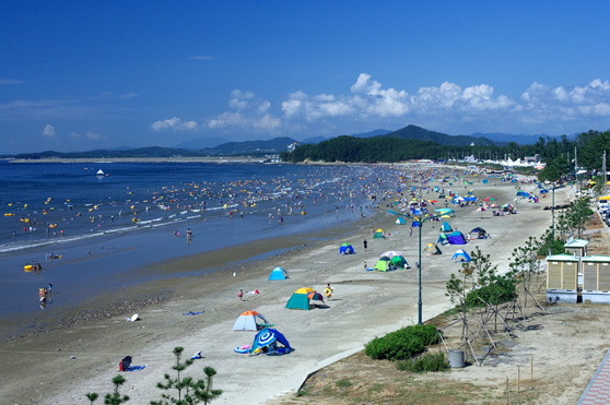 2025 춘장대 해수욕장 여름문화 개장식 &amp; 서면가요제 가이드