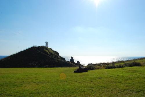 섭지코지 제주 여행
