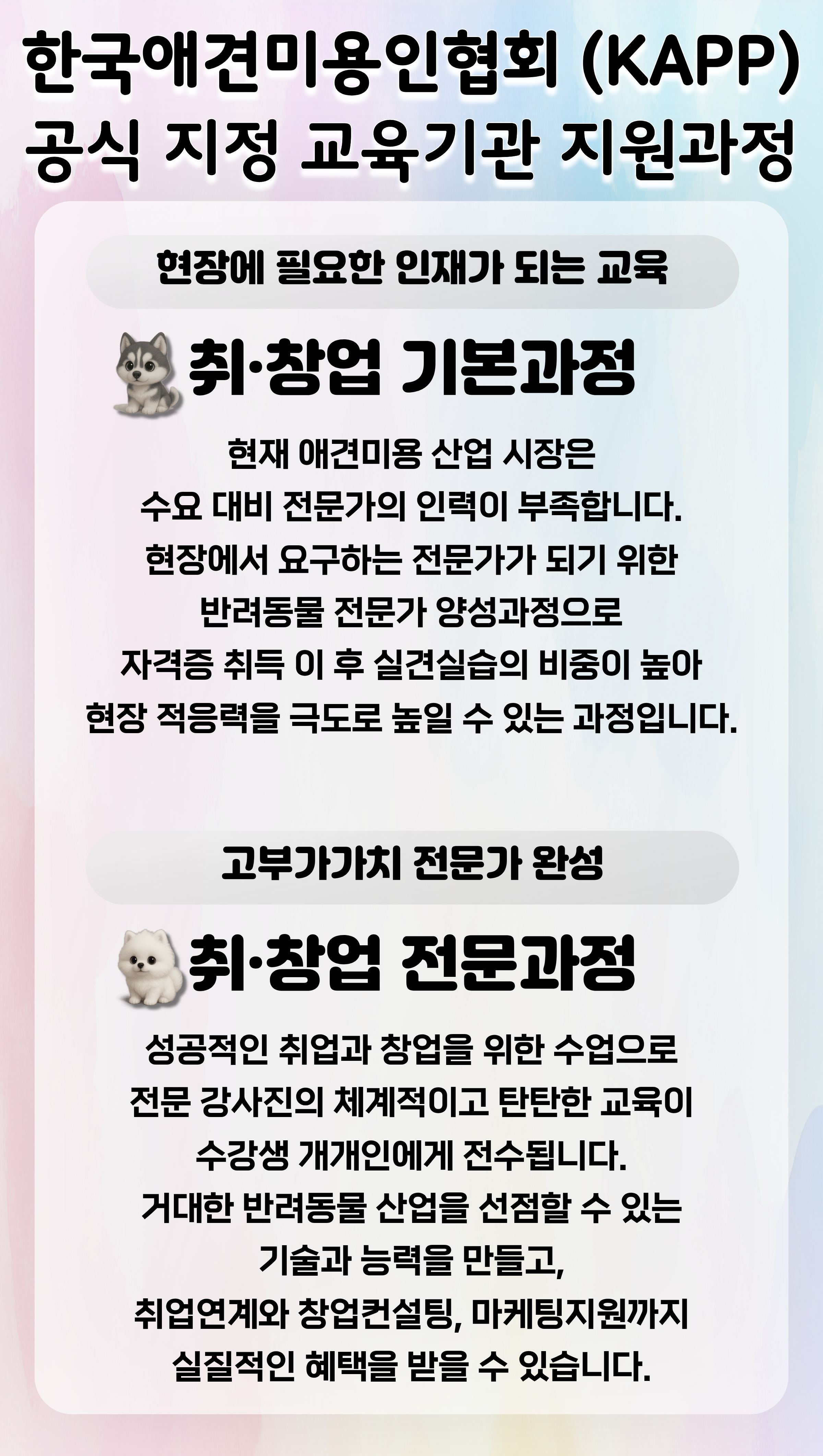 연제구애견미용학원