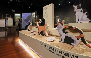 '요물' 우리를 홀린 고양이 전시회