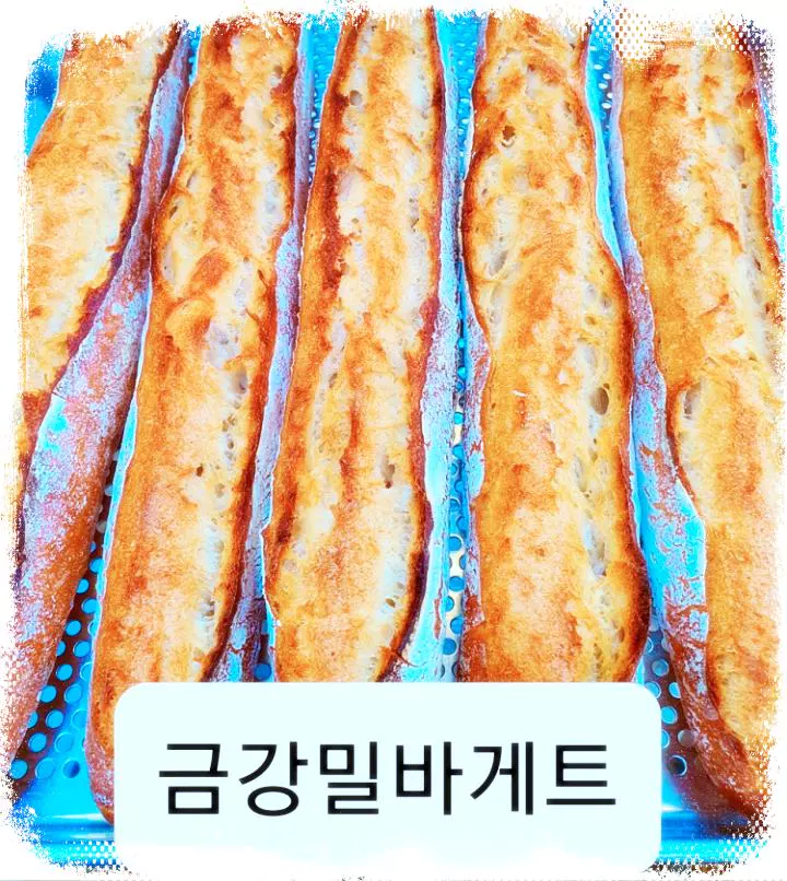 SBS-은둔식달-생활의달인-비건-빵-달인-맛집