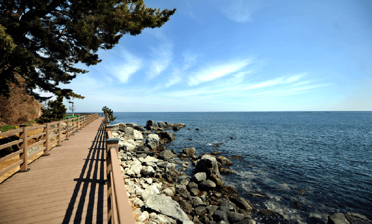 외옹치-바다향기로-데크-바다길