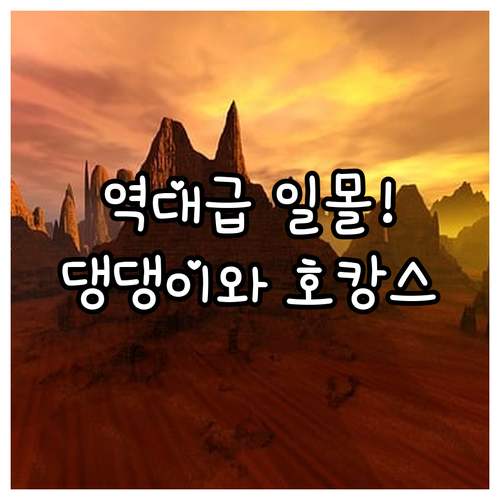 무안 신월리 일몰 촬영 포인트와 강아..