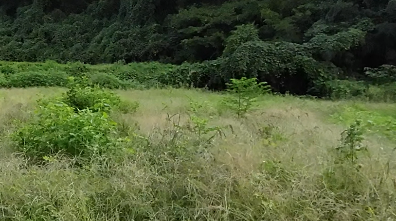 Alt 속성 문제 해결 설명 이미지