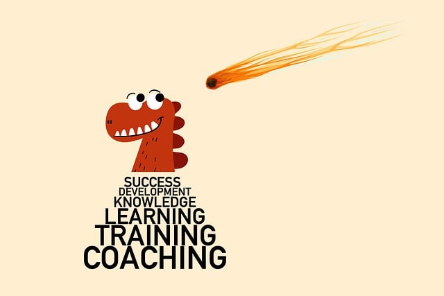 코칭이란 무엇인가