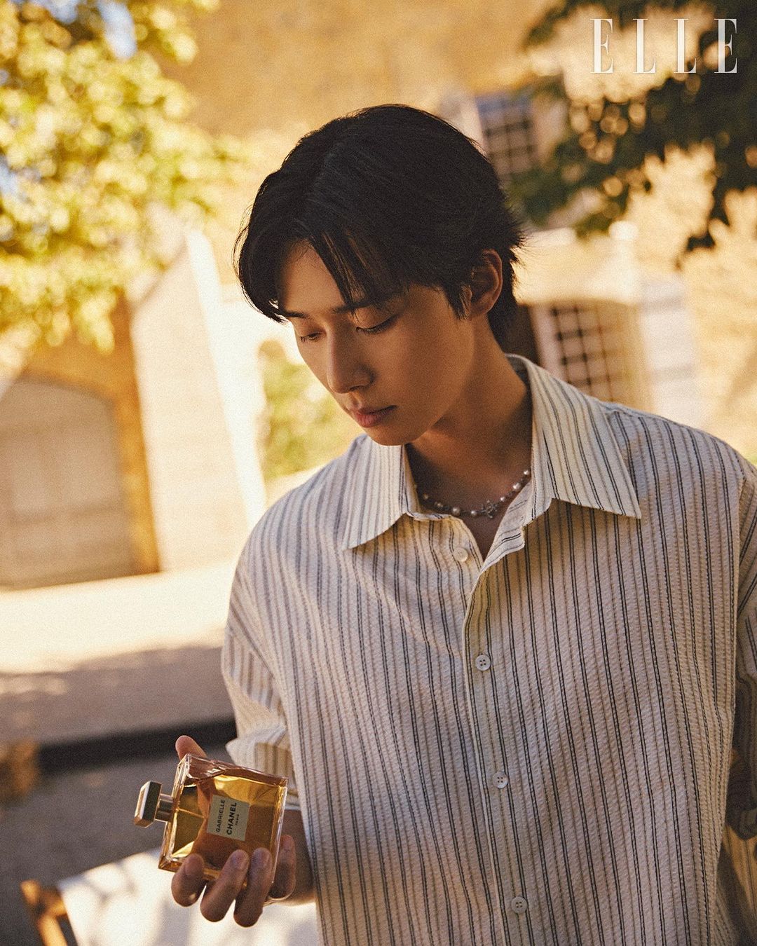 박서준