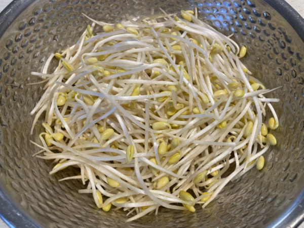 콩나물국 맛있게 끓이는 법 - 콩나물 꼬리 떼서 손질하기