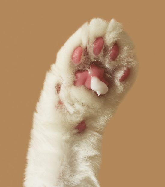 미우타임즈 고양이 모래