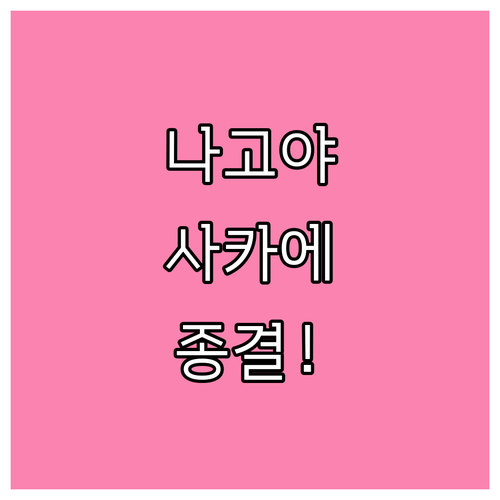 나고야 사카에 중심가 호텔 5선 대욕..