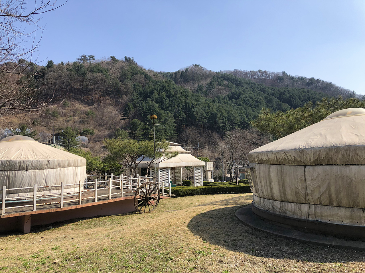게르 풍경
