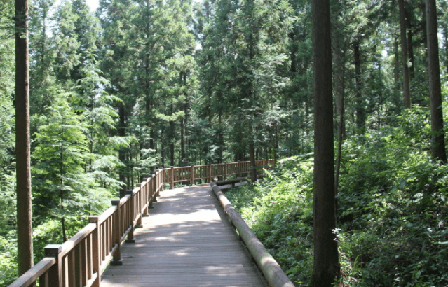 제암산자연휴양림