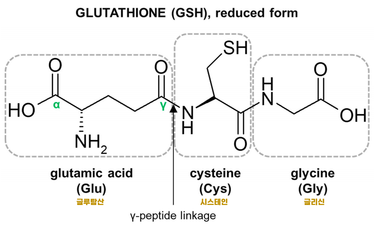 글루타치온 글루타티온 환원형 루치온 GSH NAC ODF 필름형 구강 주사 여에스더 영양제
