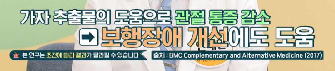 가자추출물 효능